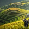 Sapa – Nơi Gặp Gỡ Đất Trời