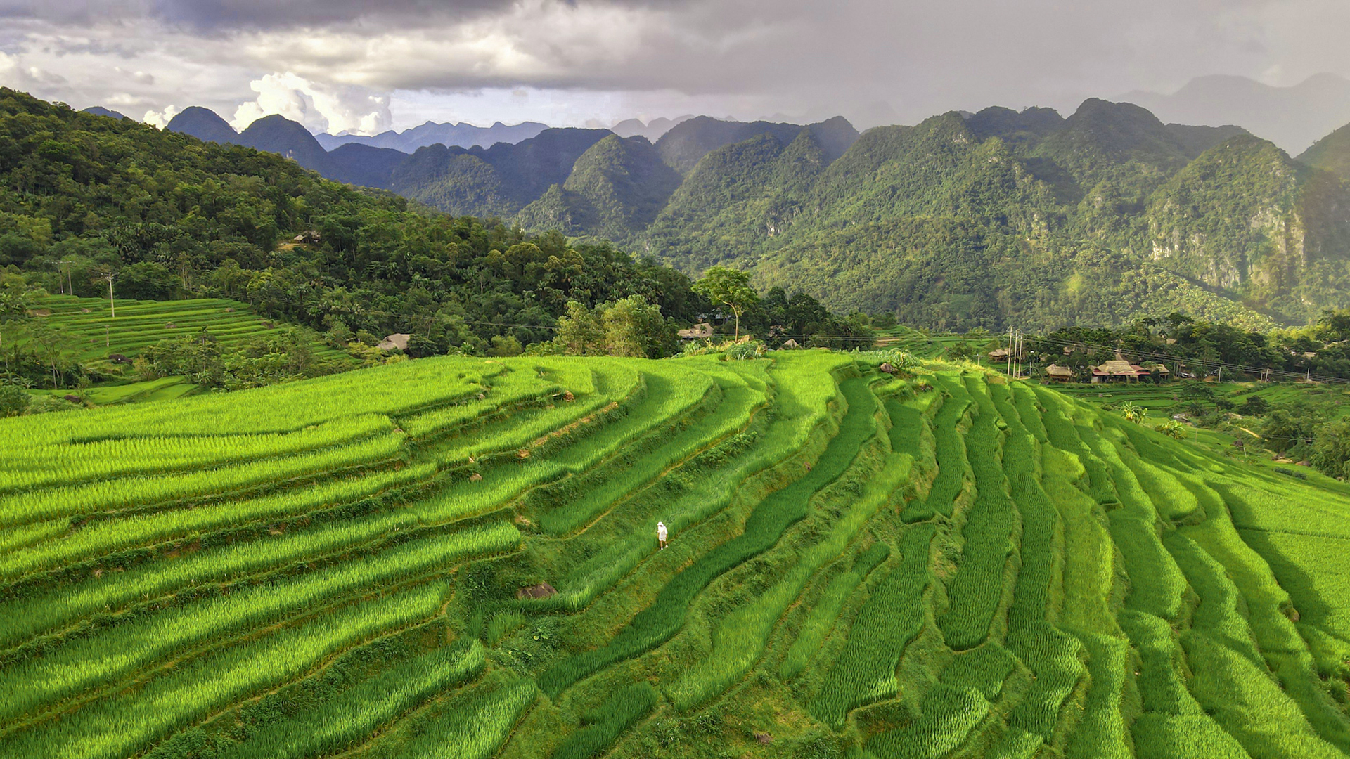 Top 6 điểm du lịch Thanh Hoá đẹp không thể bỏ lỡ 2 Pù luông