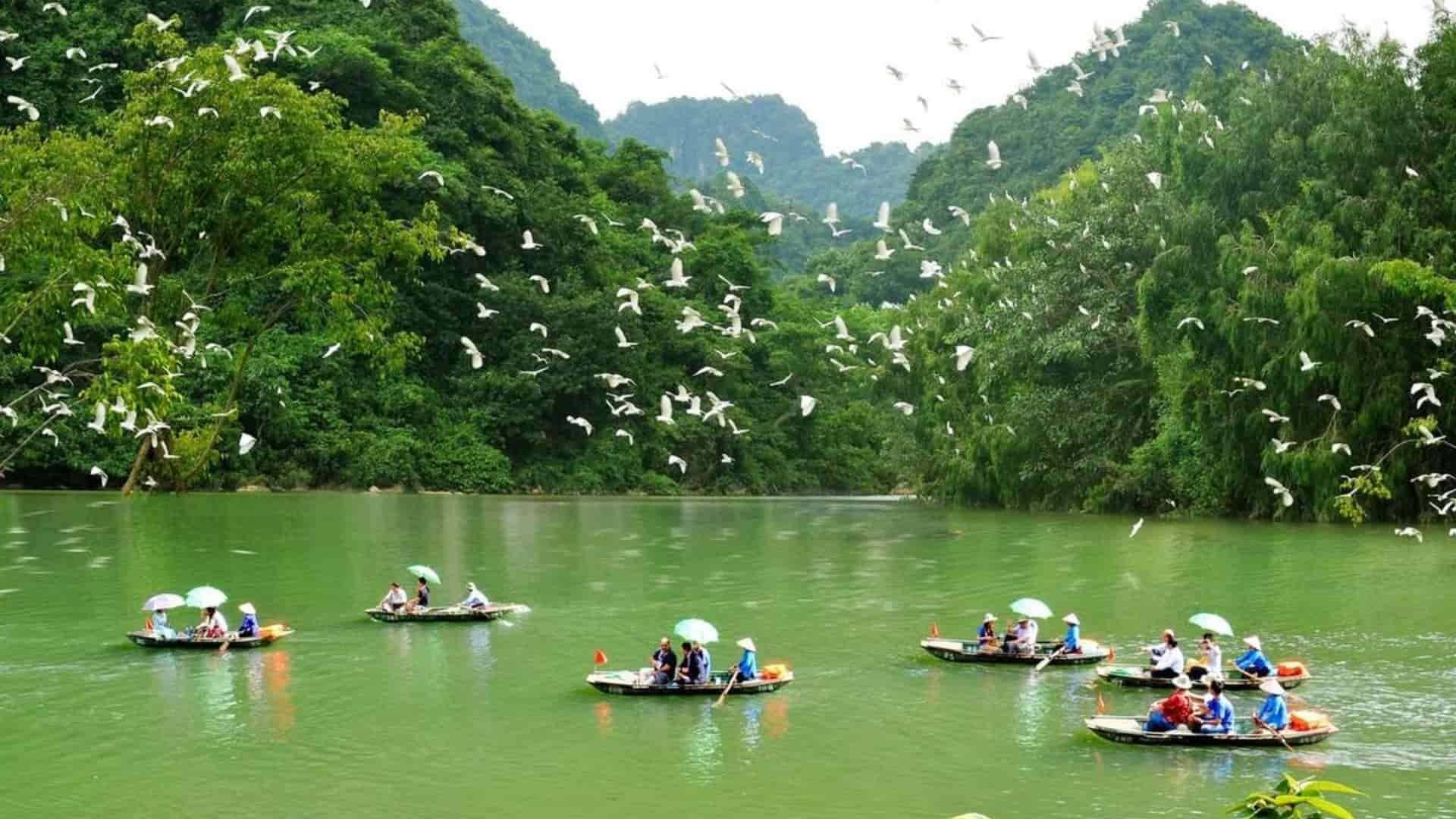 Tour Du Lịch Ninh Bình 3 Ngày 2 Đêm – Khám Phá Tràng An, Bái Đính, Hang Múa, Thung Nham