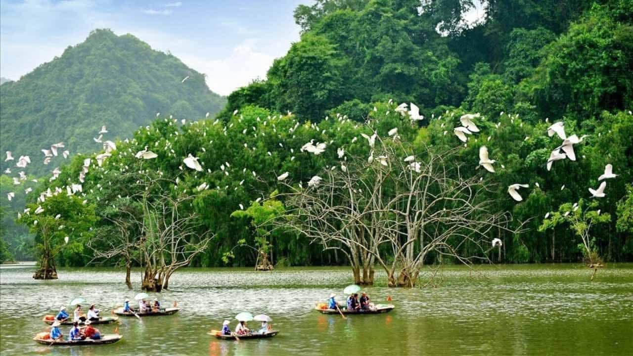 Tour Ninh Bình 2 Ngày 1 Đêm | Thung Nham – Bái Đính – Tràng An