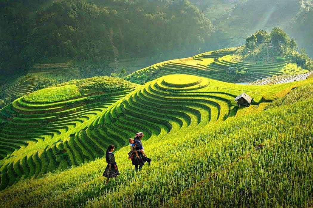 Tour Sapa 2 Ngày 1 Đêm – Trekking Lao Chải, Tả Van, Ý Linh Hồ | Du Lịch Hải Tiến