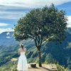 Tour Sapa 4 Ngày 3 Đêm – Fansipan, Ô Quy Hồ, Bản Cát Cát | Du Lịch Hải Tiến