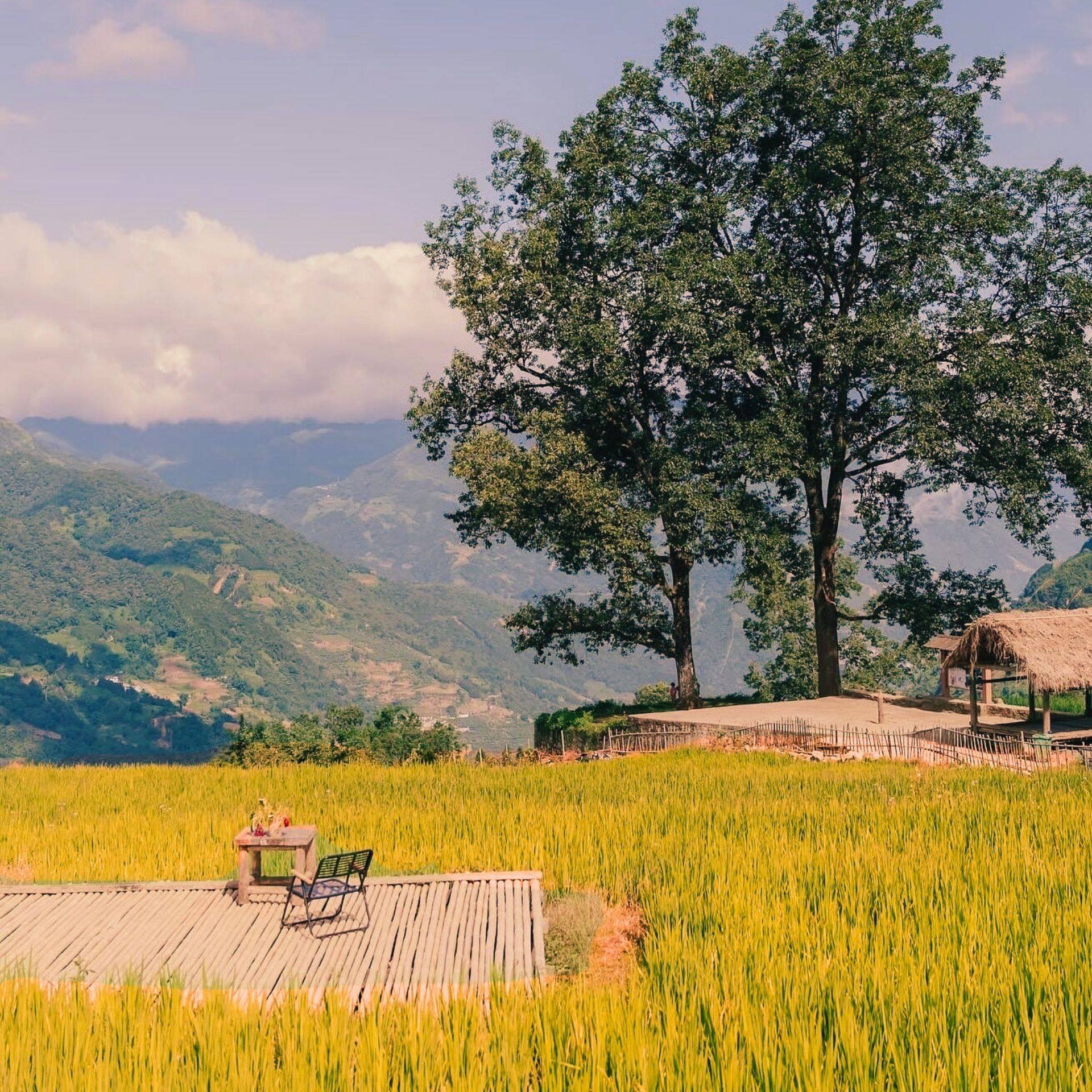 Tour Sapa – Y Tý – Bát Xát 3 Ngày 2 Đêm | Săn Mây Tây Bắc Huyền Thoại – Du Lịch Hải Tiến