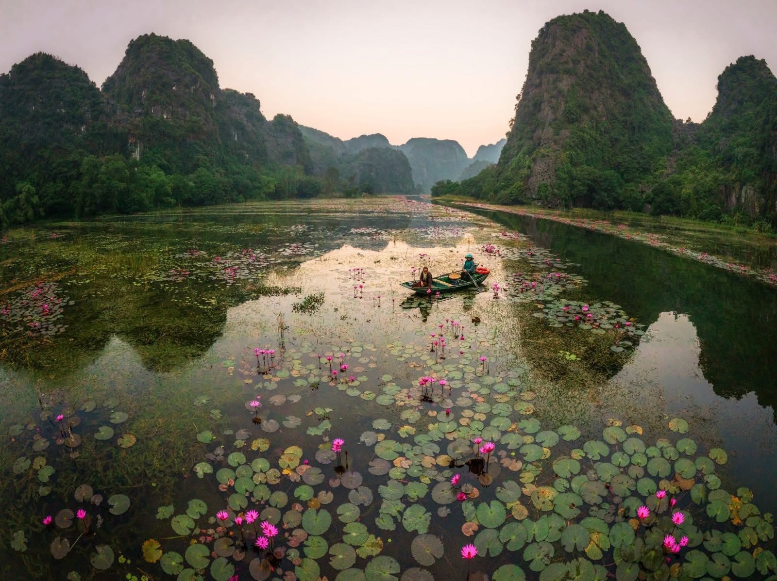 Du Lịch Ninh Bình Mùa Hoa Lau – Thơ Mộng Như Bức Tranh Miền Cổ Tích Tháng 11