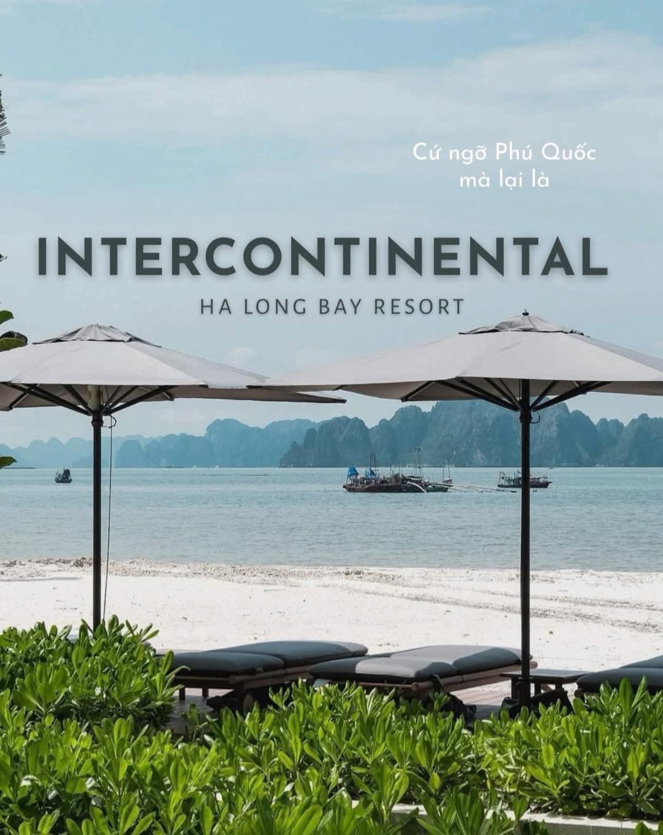 InterContinental Hạ Long Bay | Resort 6 sao đầu tiên tại Hạ Long | Giá phòng, review & combo ưu đãi 2026